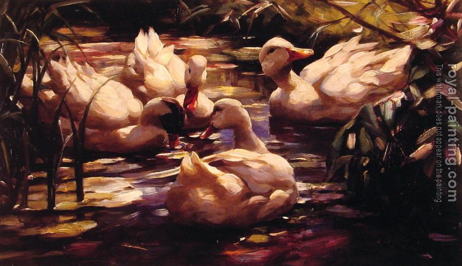 Alexander Koester : Ducks in a Forest Pond